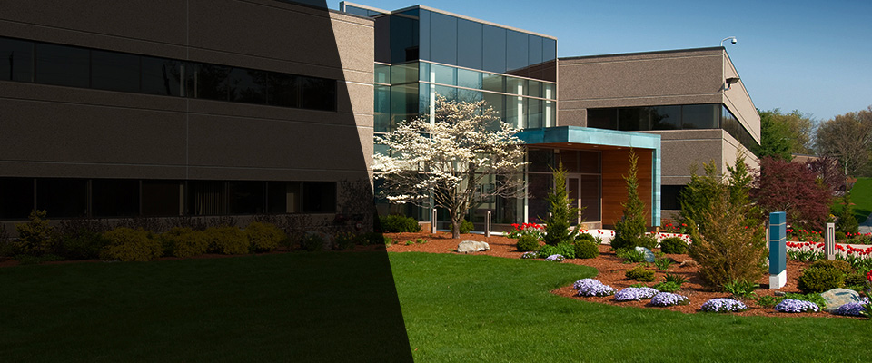 Dassel Landscapers