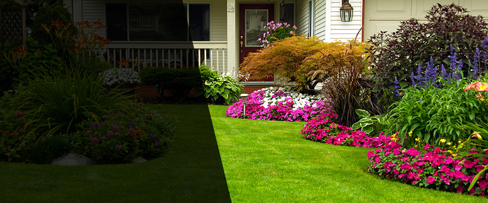 Dassel Landscapers