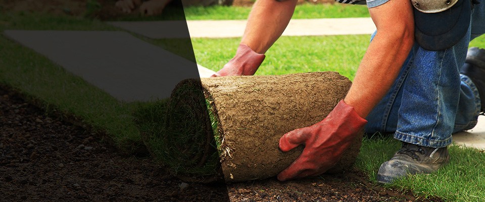 Dassel Landscapers